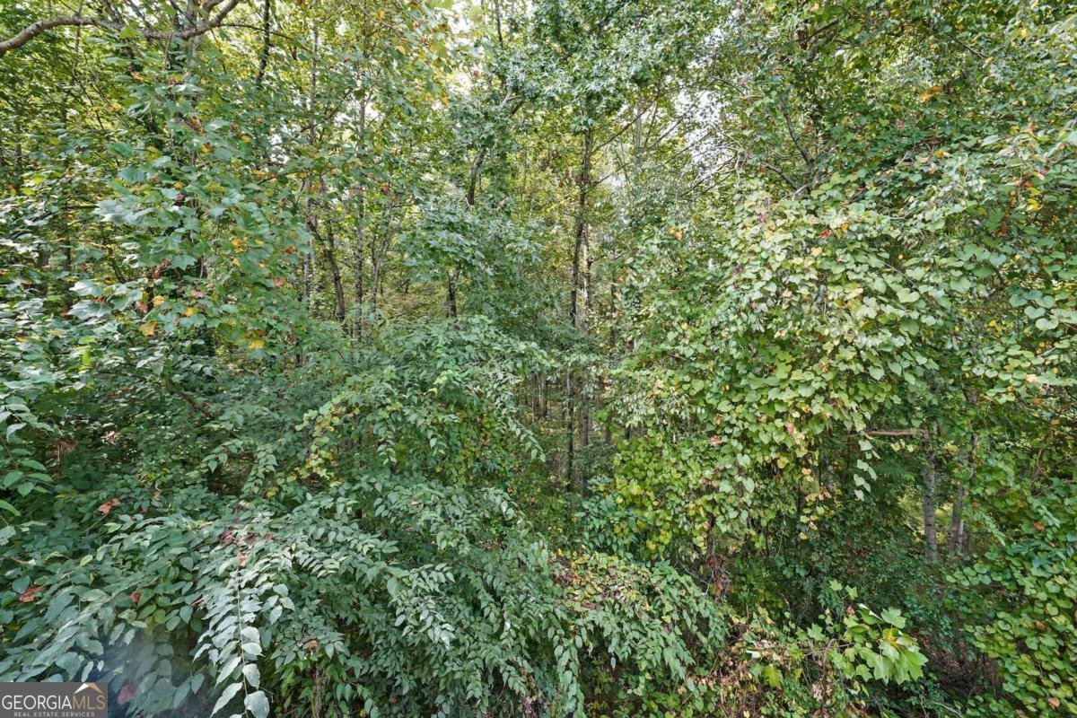 4671 Howell Farms Drive Acworth - Photo 31