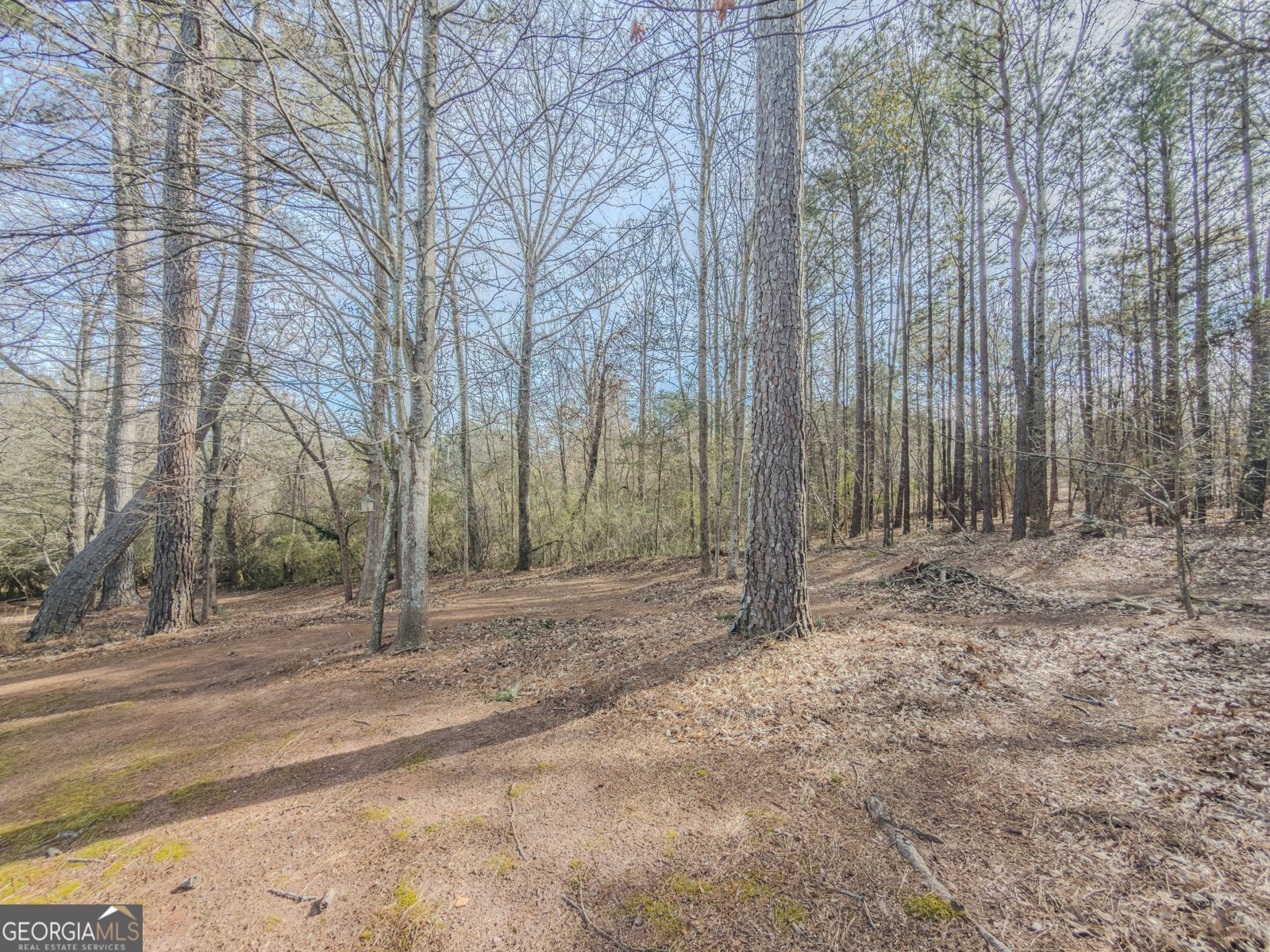 3100 Oak Ridge Lane Loganville - Photo 38