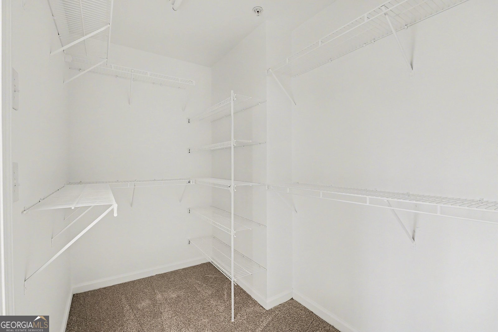 509 Oxeye Drive Woodstock - Photo 22