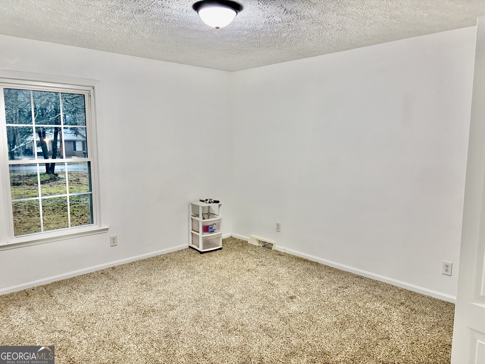 9 ARGON Drive Rome - Photo 14