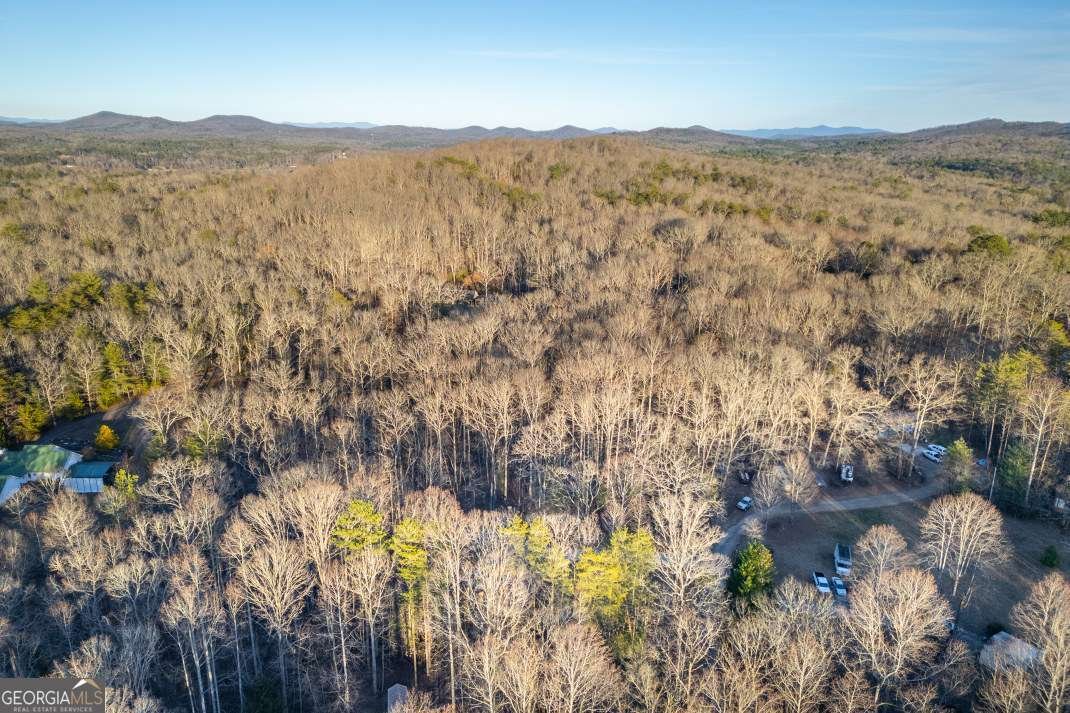 125 Cedar Lane Morganton - Photo 82