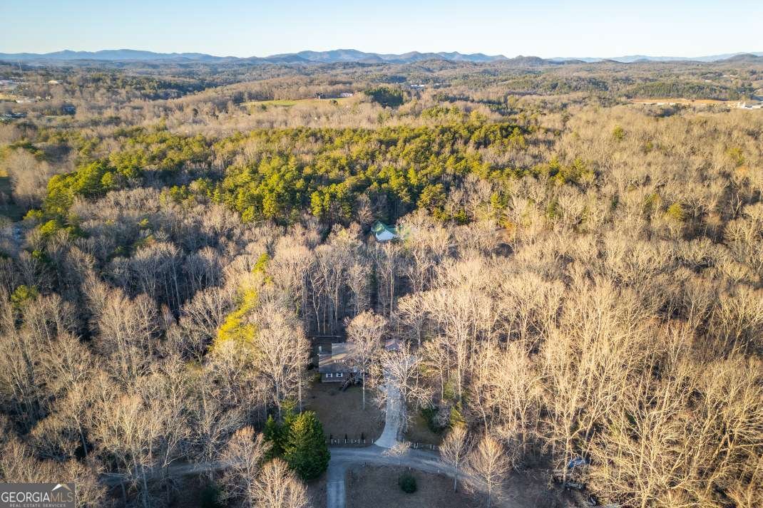 125 Cedar Lane Morganton - Photo 88