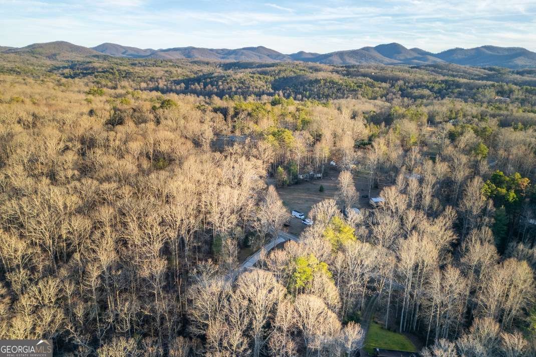 125 Cedar Lane Morganton - Photo 89