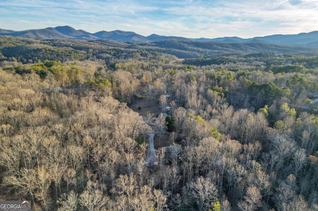 125 Cedar Lane Morganton - Photo 90