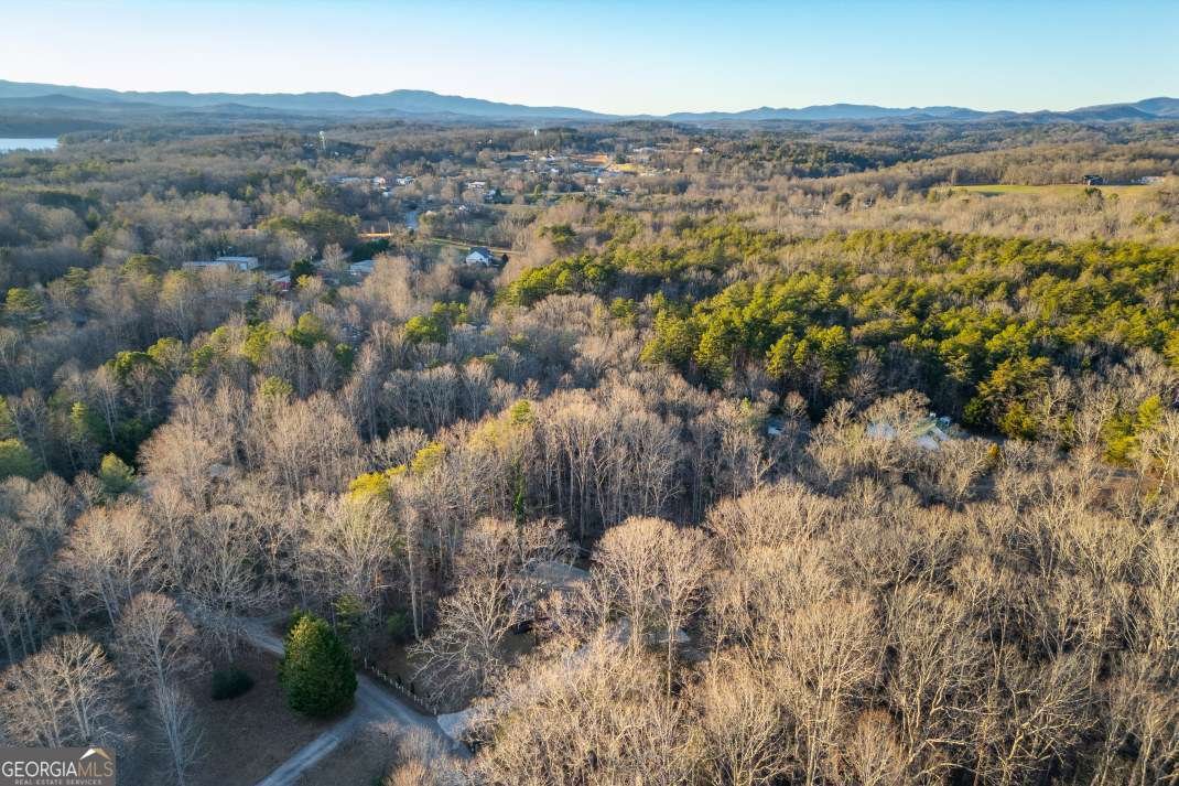 125 Cedar Lane Morganton - Photo 92