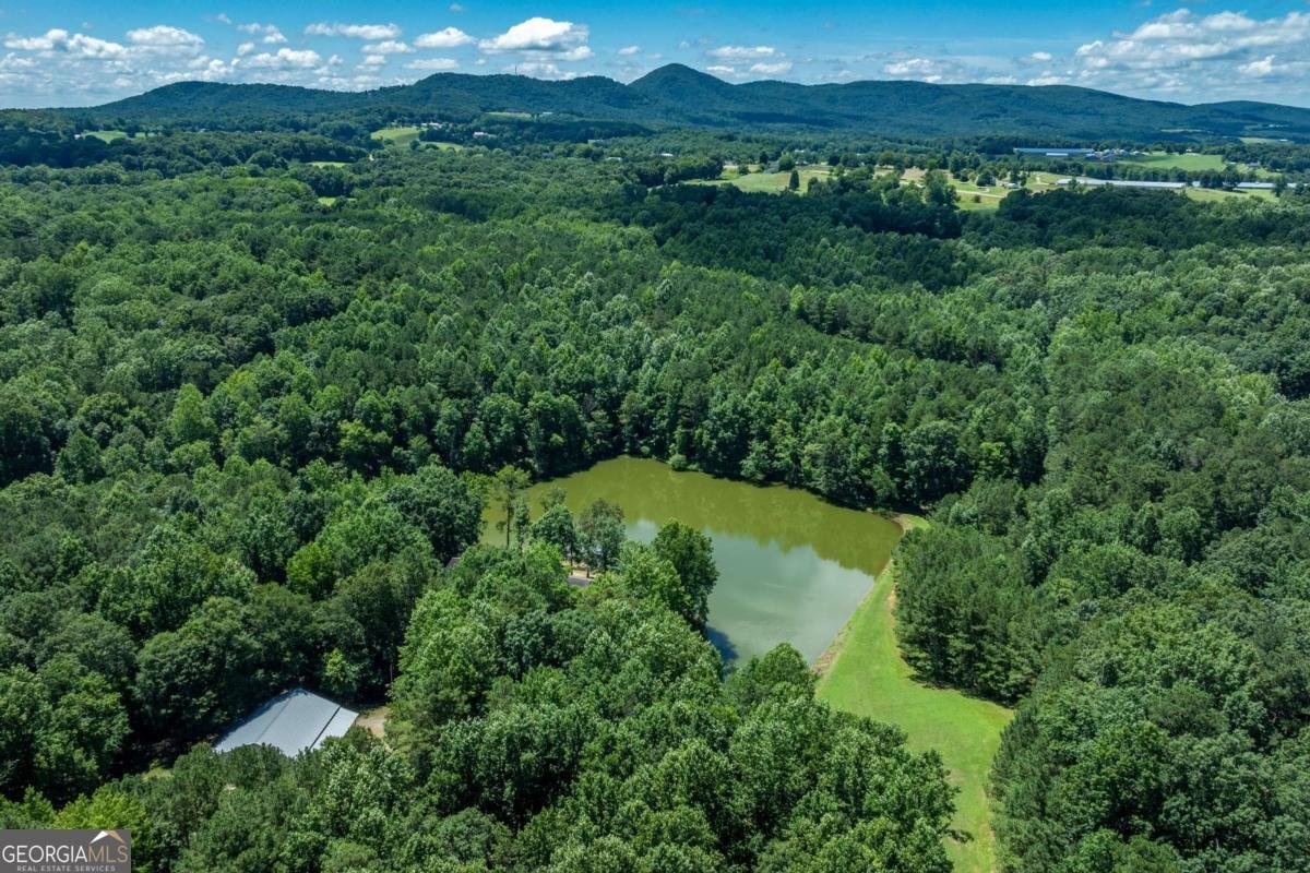 755 Harris Road Jasper - Photo 51