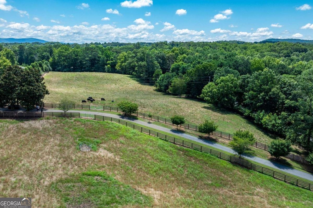 755 Harris Road Jasper - Photo 8