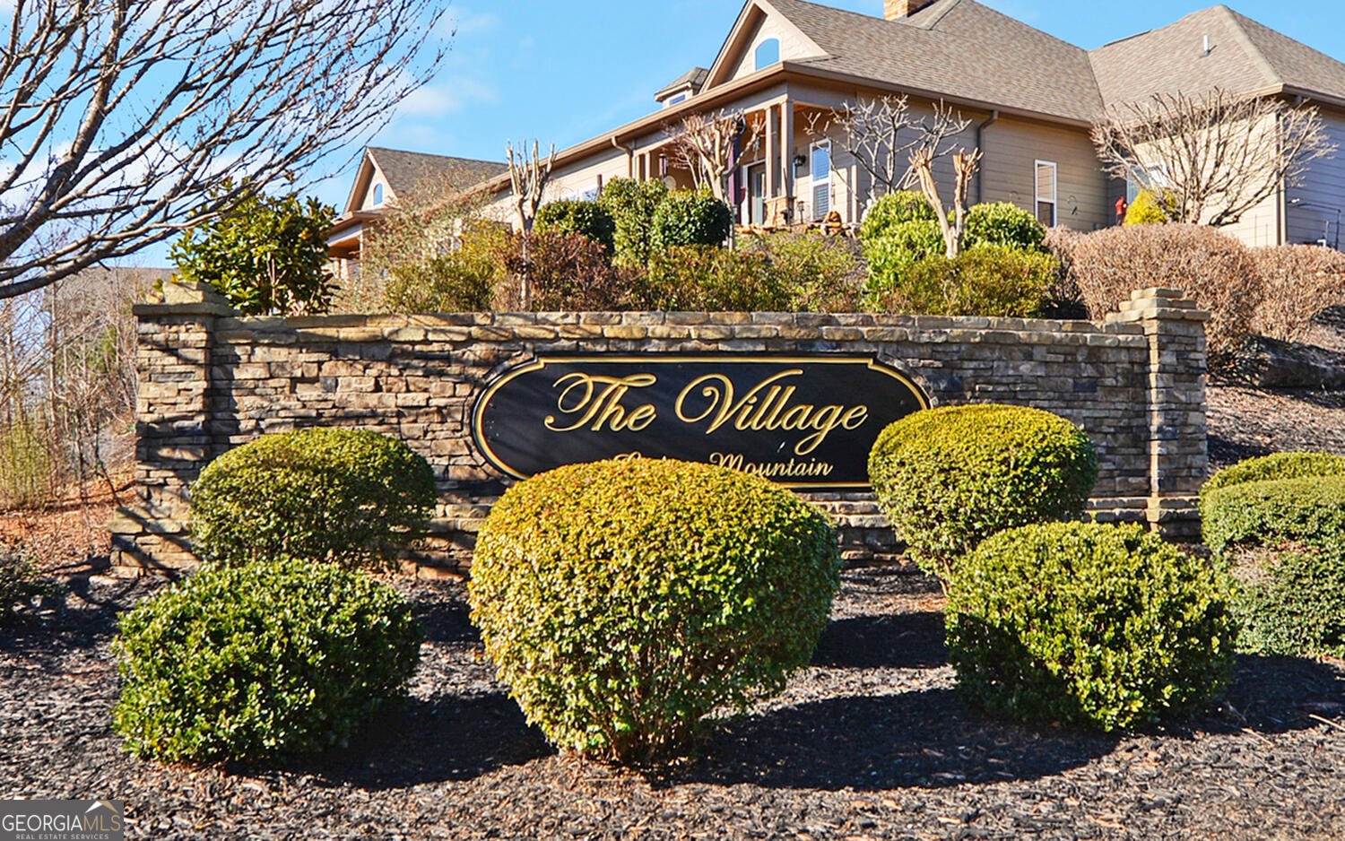 177 Village Drive Dahlonega - Photo 49