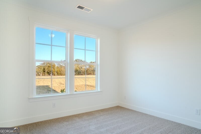 28 Tomahawk Trail Good Hope - Photo 8