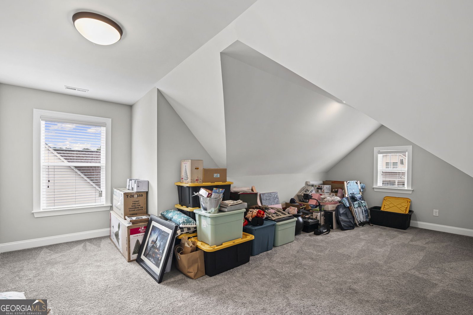 150 Duck Drive Senoia - Photo 38