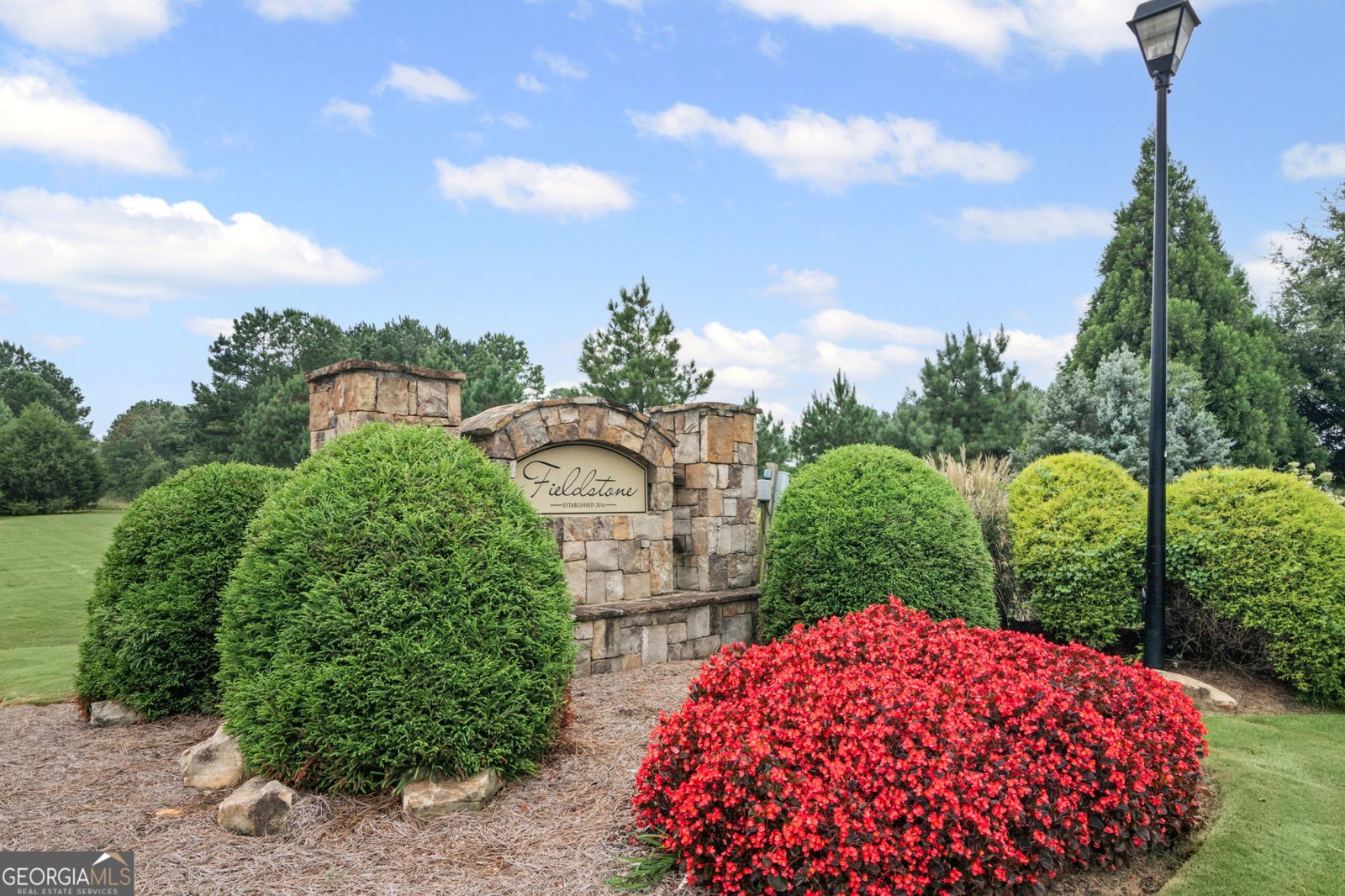 150 Duck Drive Senoia - Photo 66