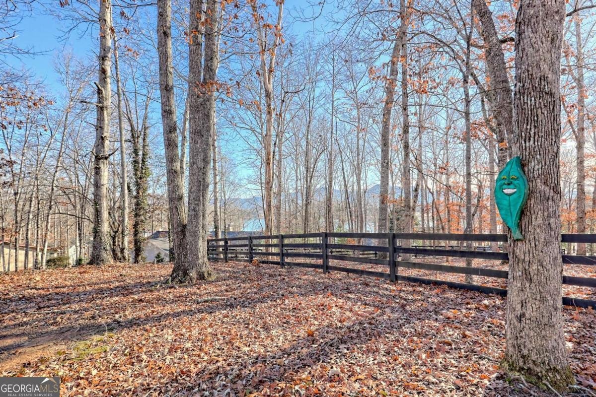 1444 Kelley Way Hiawassee - Photo 44