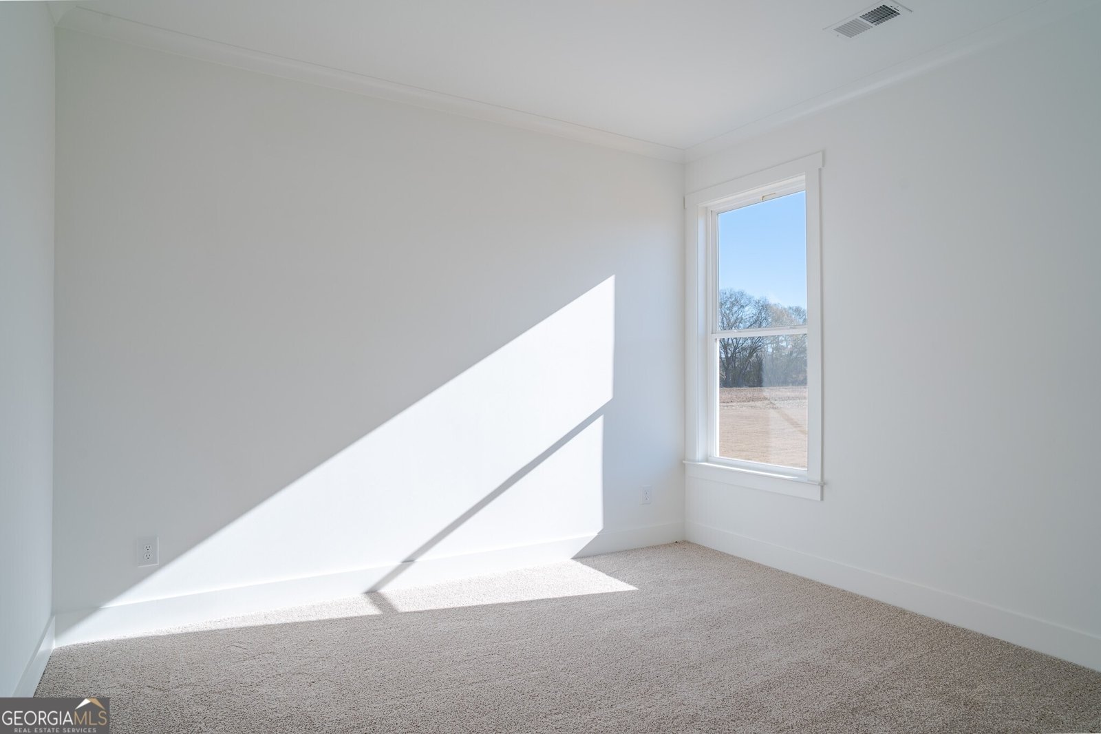 93 Tomahawk Trail Good Hope - Photo 13