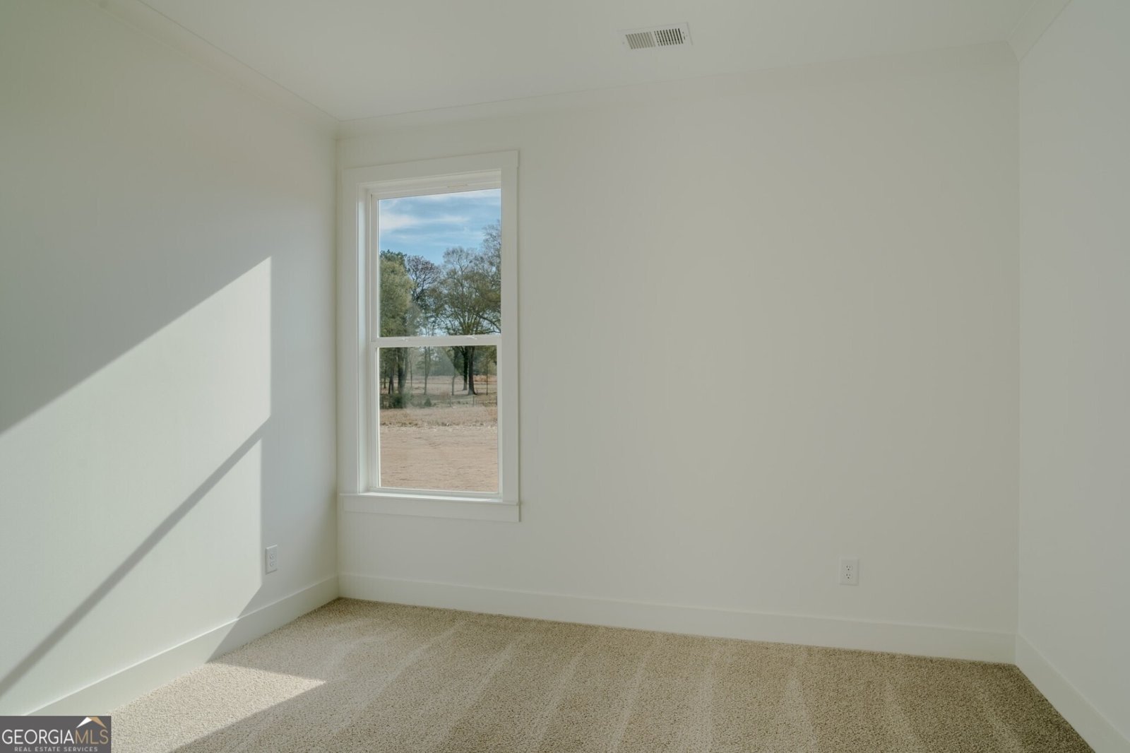 115 Cherokee Court Good Hope - Photo 17