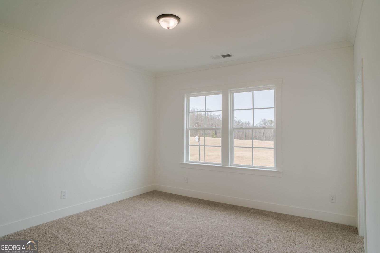 1285 PJ East Road Covington - Photo 22