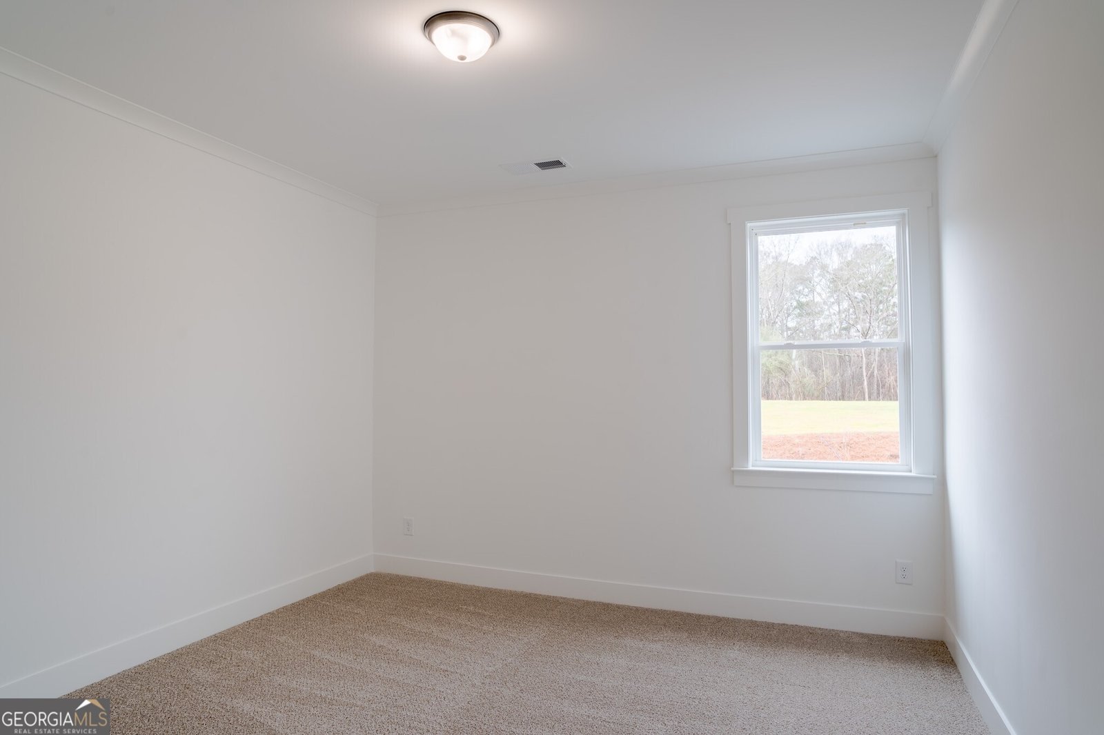 1285 PJ East Road Covington - Photo 28