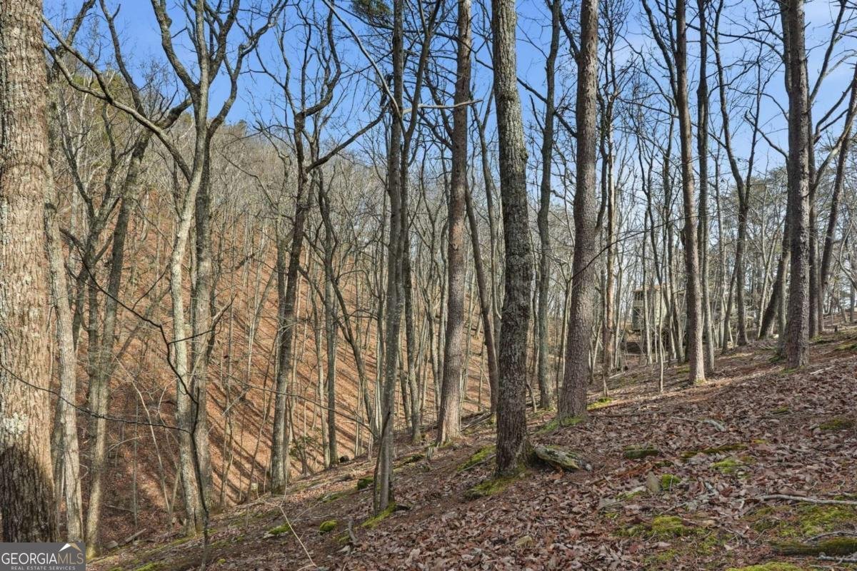 102 Siddiqui Court Waleska - Photo 35