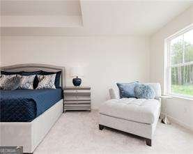 1815 Dawn Road Conyers - Photo 20