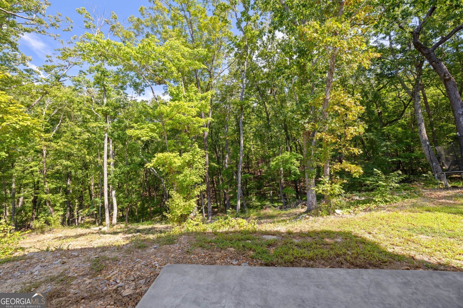 356 Mulberry Circle Jasper - Photo 42