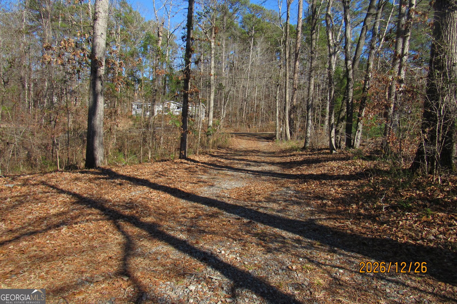 230 Sycamore Drive Sparta - Photo 16