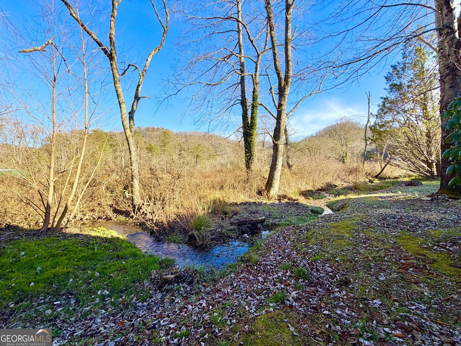 462 River Vista Drive Dillard - Photo 14