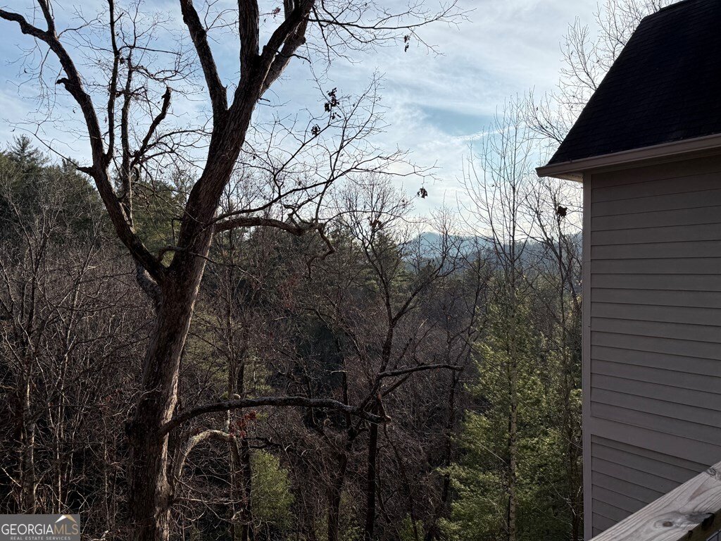 62 Crooked Branch Drive Clayton - Photo 32