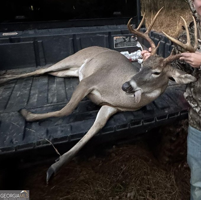 598 Lester Wood Road Jefferson - Photo 49