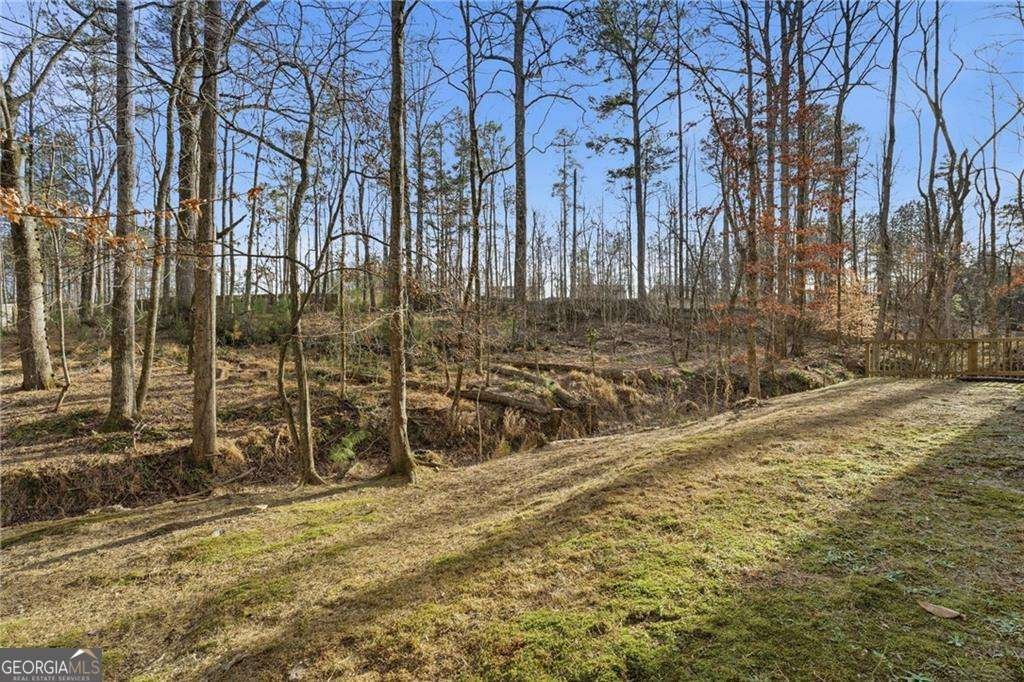 6831 Augusta Manor Suwanee - Photo 53