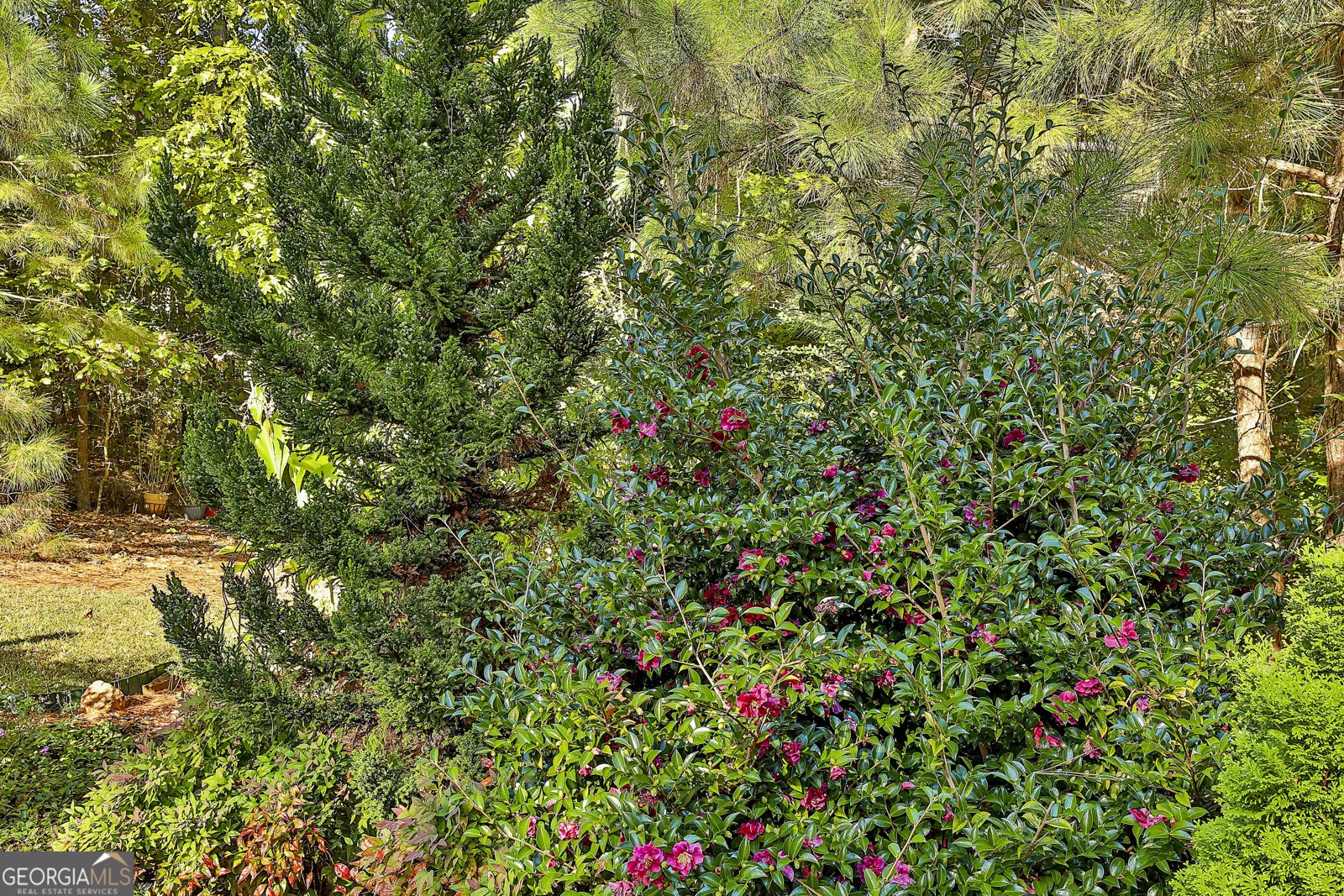 120 Meadow View Glen Newnan - Photo 15