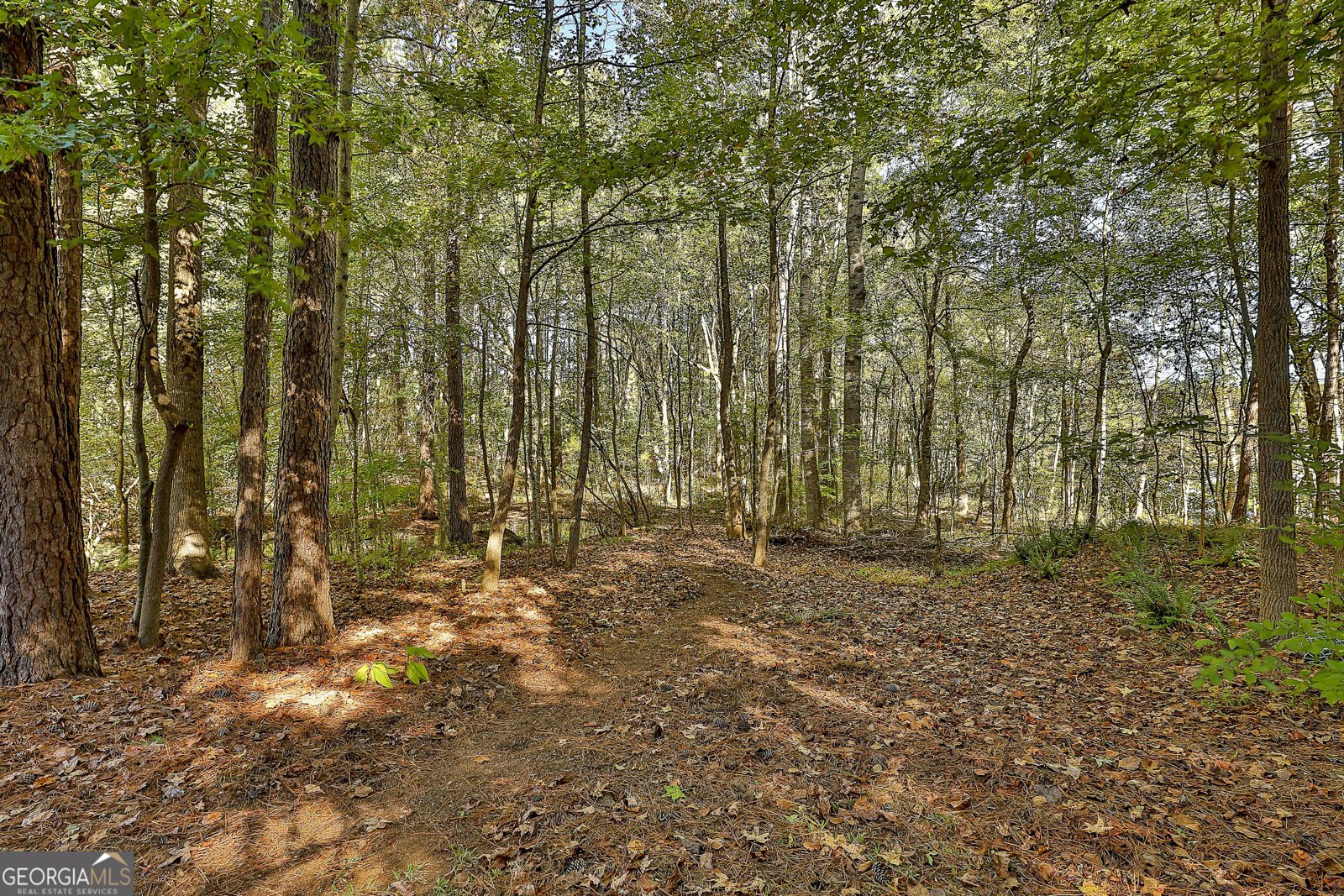 120 Meadow View Glen Newnan - Photo 25