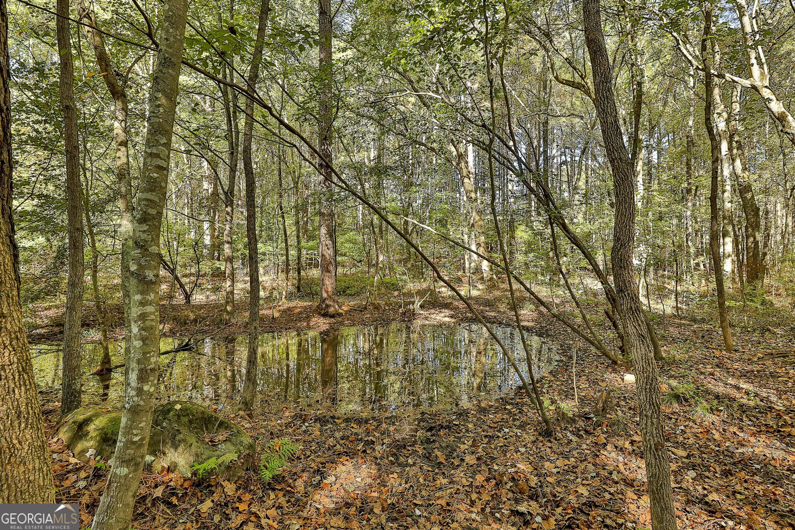 120 Meadow View Glen Newnan - Photo 27