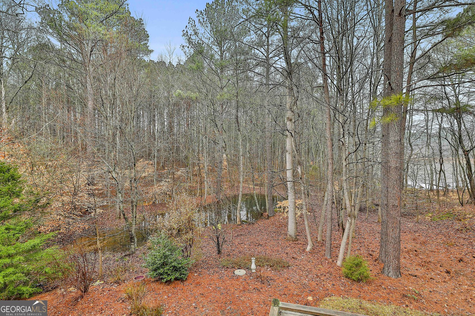 120 Meadow View Glen Newnan - Photo 47
