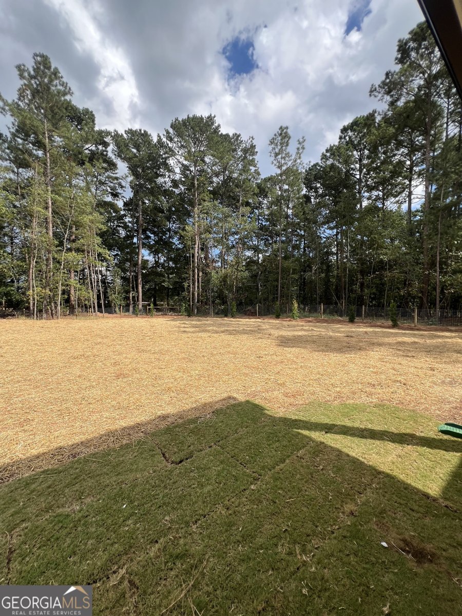 3050 Mahlon Smith Road Social Circle - Photo 27