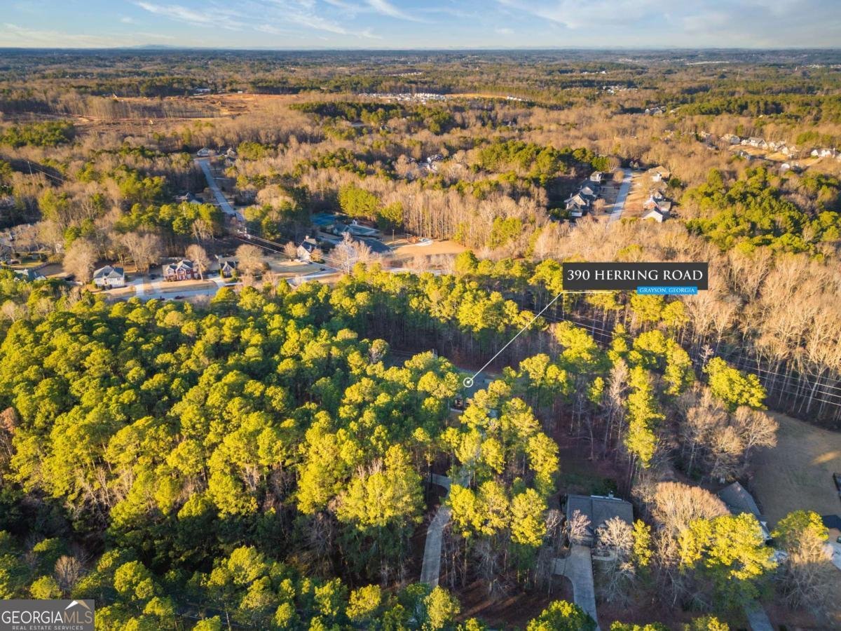 390 Herring Grayson - Photo 62