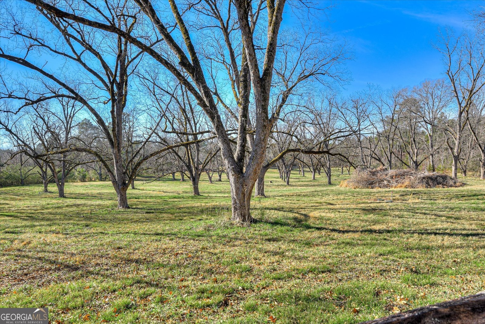 267 Garrard Washington - Photo 54