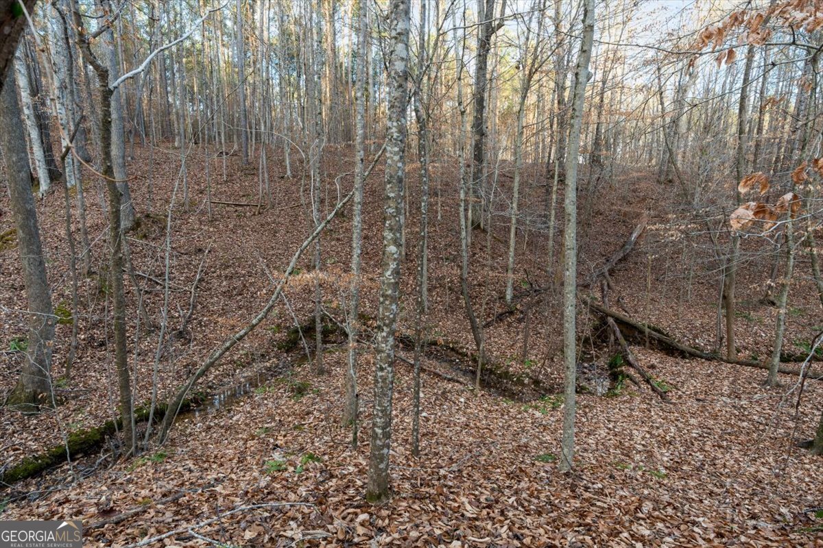 573 Old Yorkville Road Dallas - Photo 38