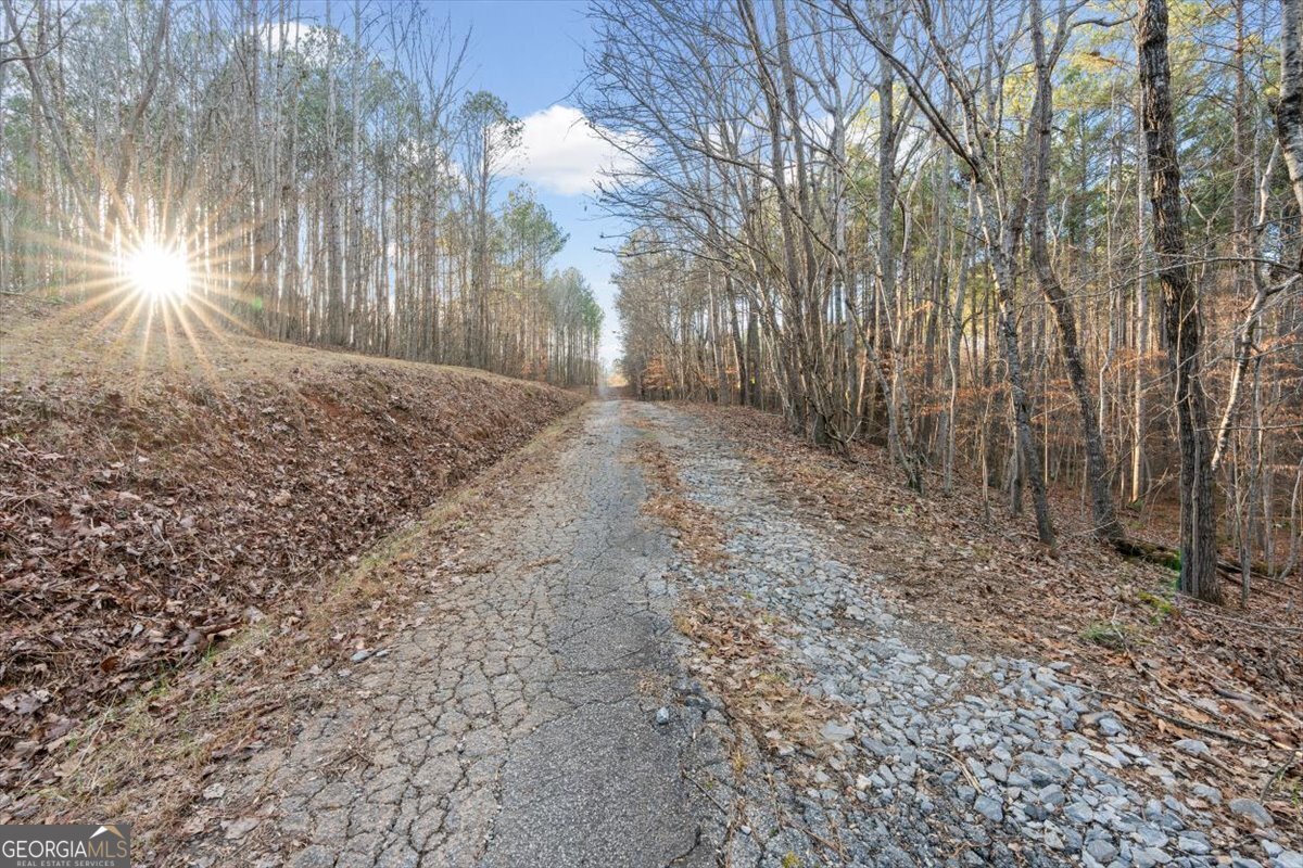 573 Old Yorkville Road Dallas - Photo 40