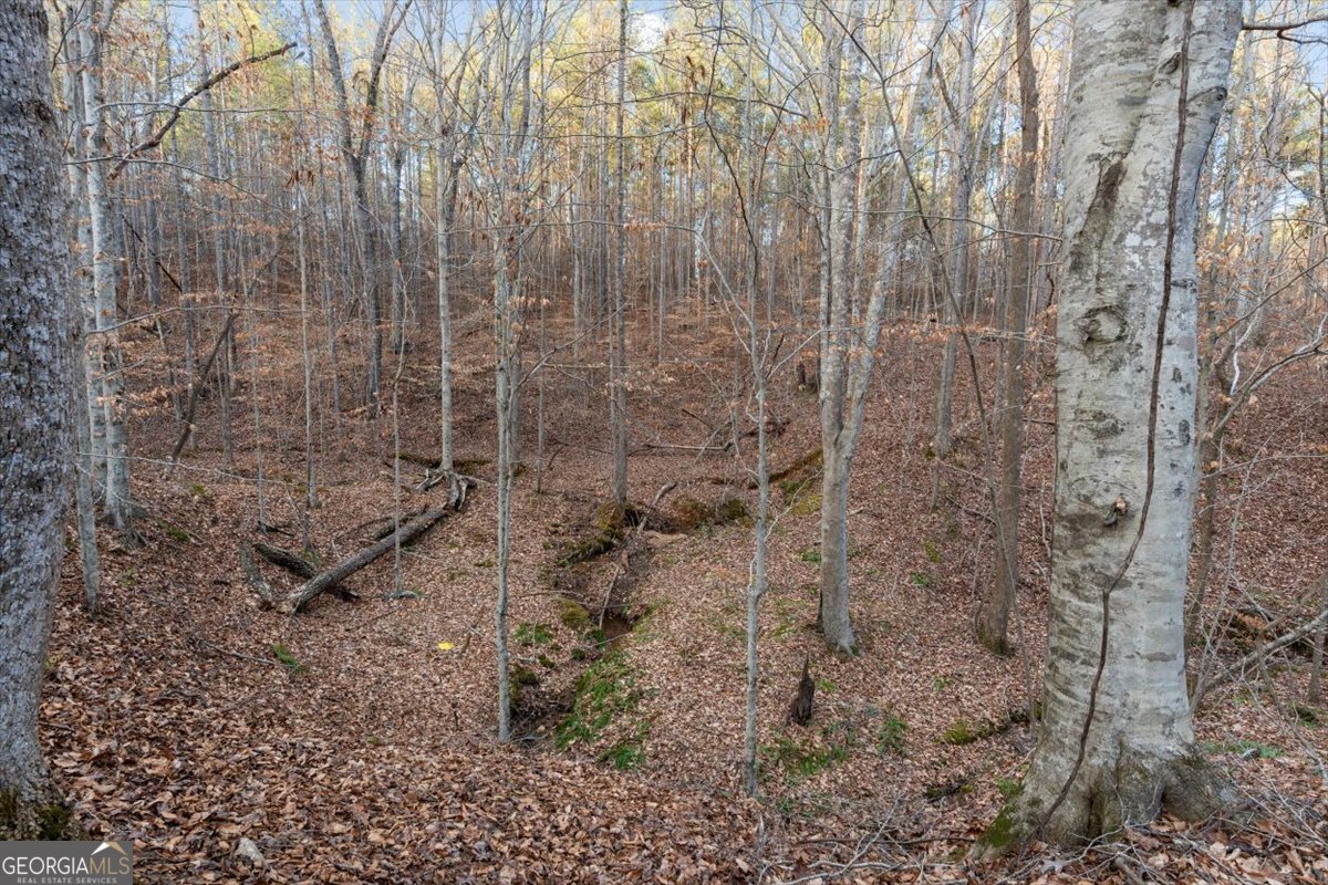 573 Old Yorkville Road Dallas - Photo 41