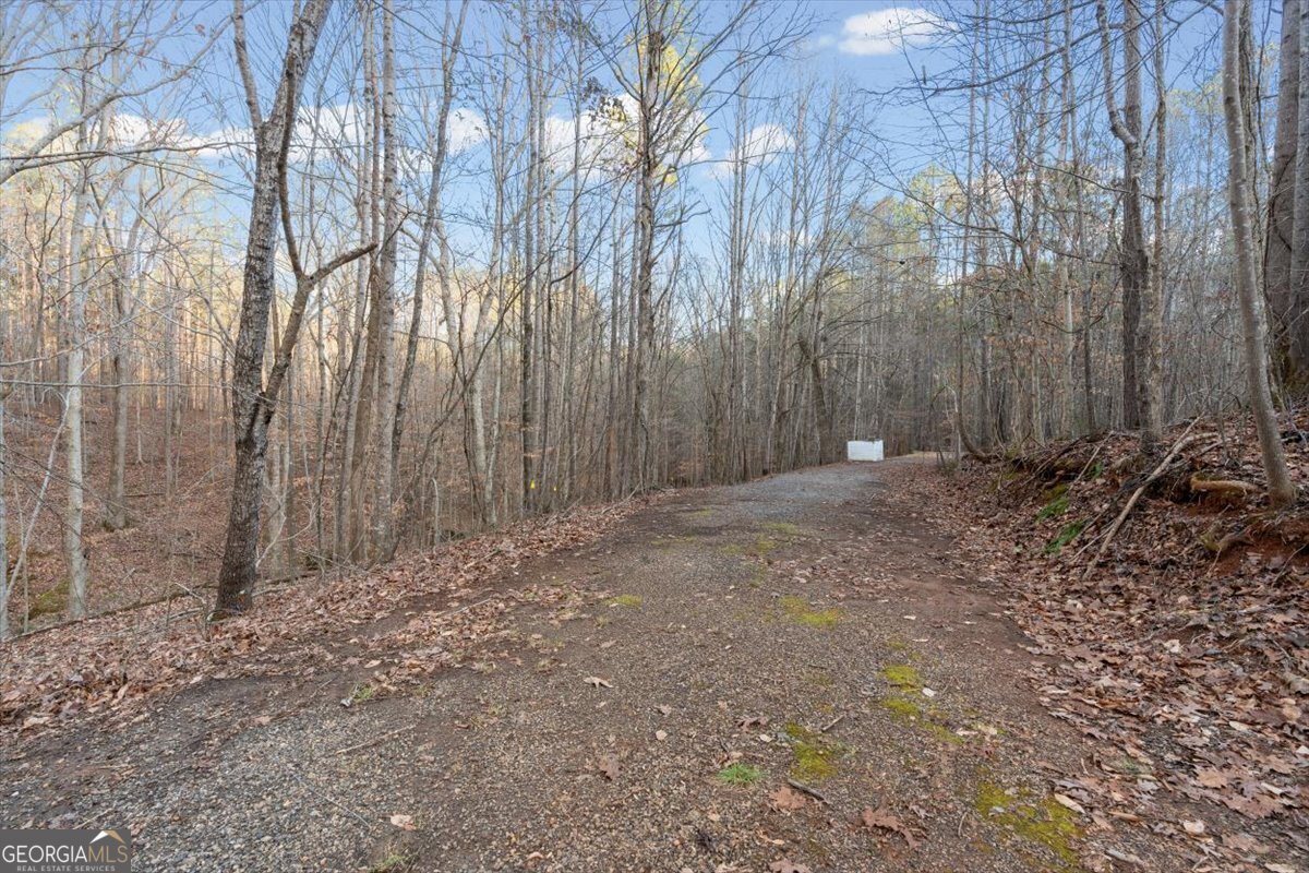 573 Old Yorkville Road Dallas - Photo 46