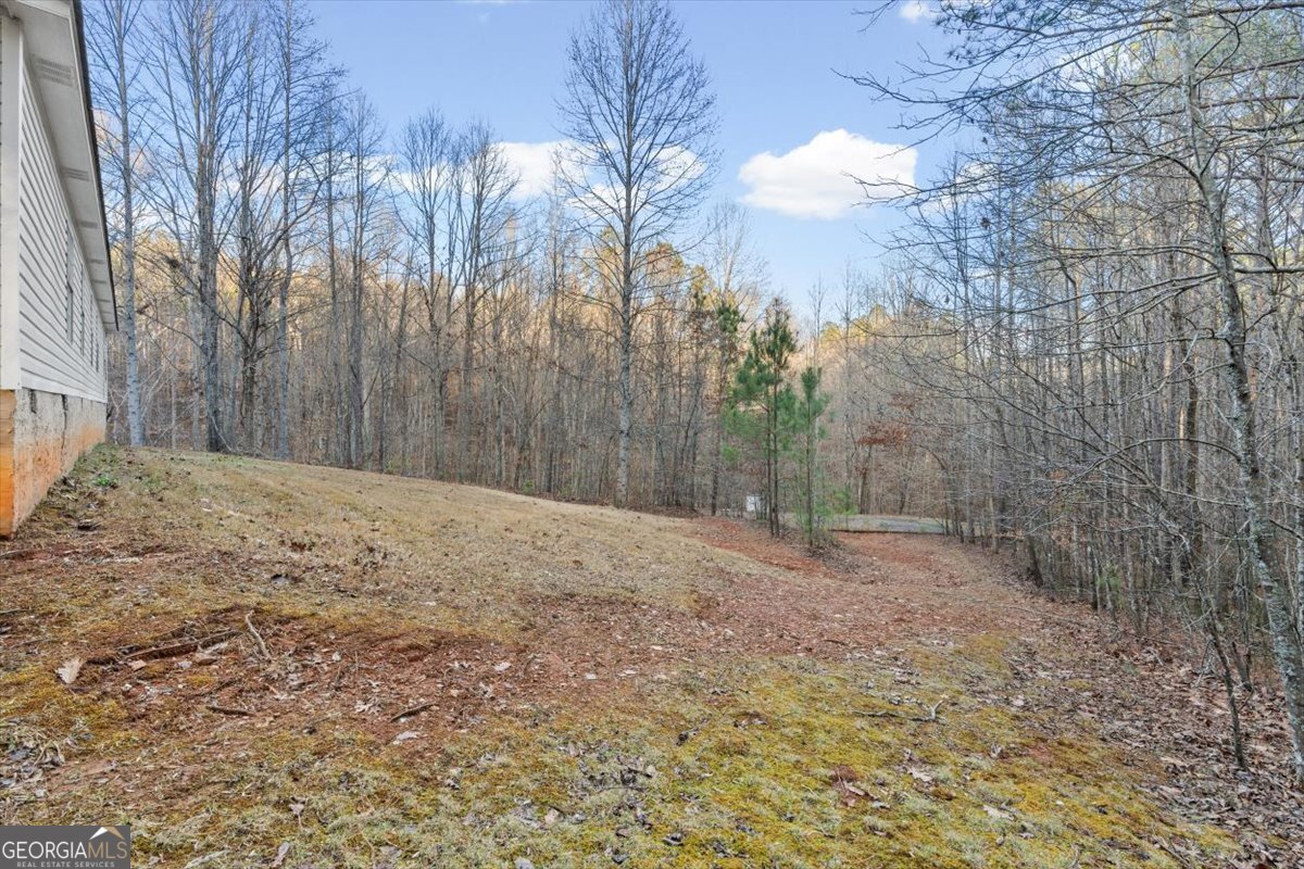 573 Old Yorkville Road Dallas - Photo 49