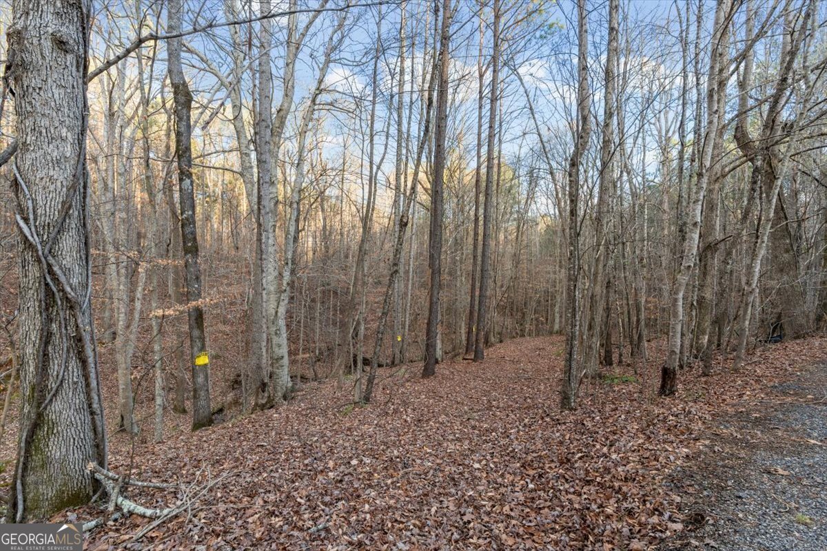 573 Old Yorkville Road Dallas - Photo 53