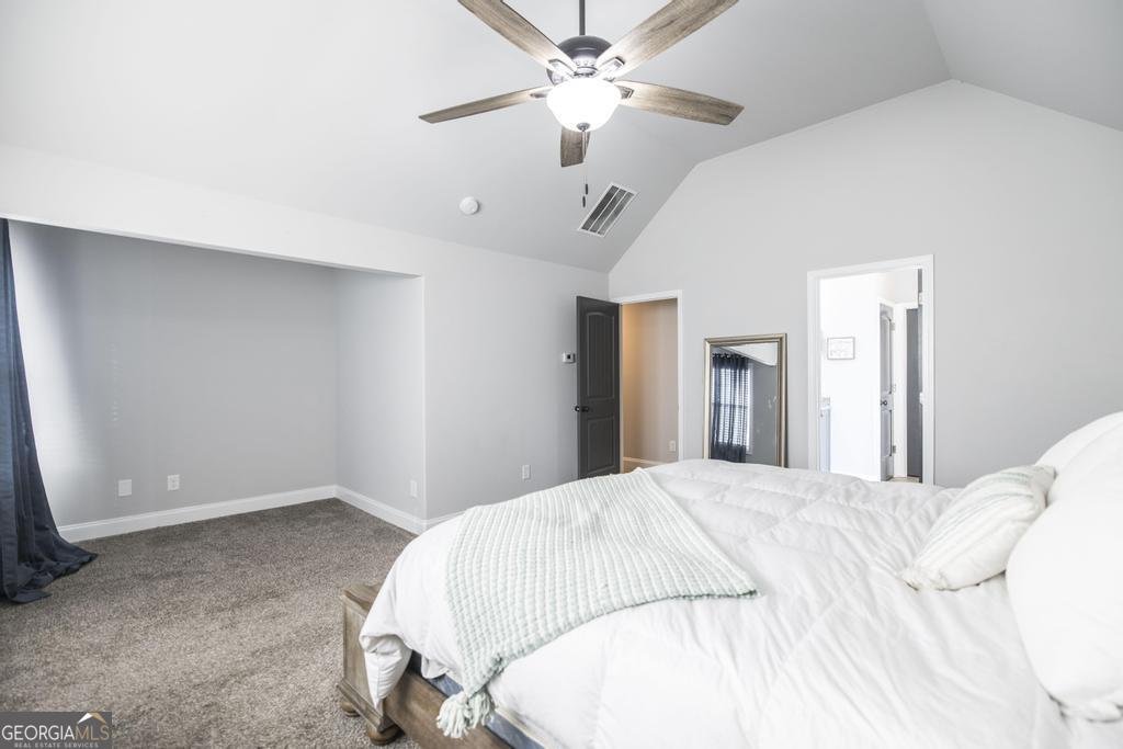 306 Harley Farms Drive Bonaire - Photo 29