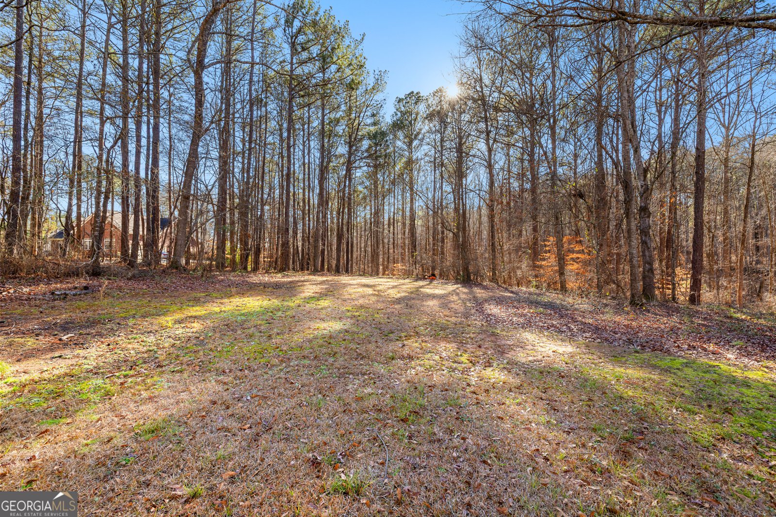 111 Cook Lane Newnan - Photo 31