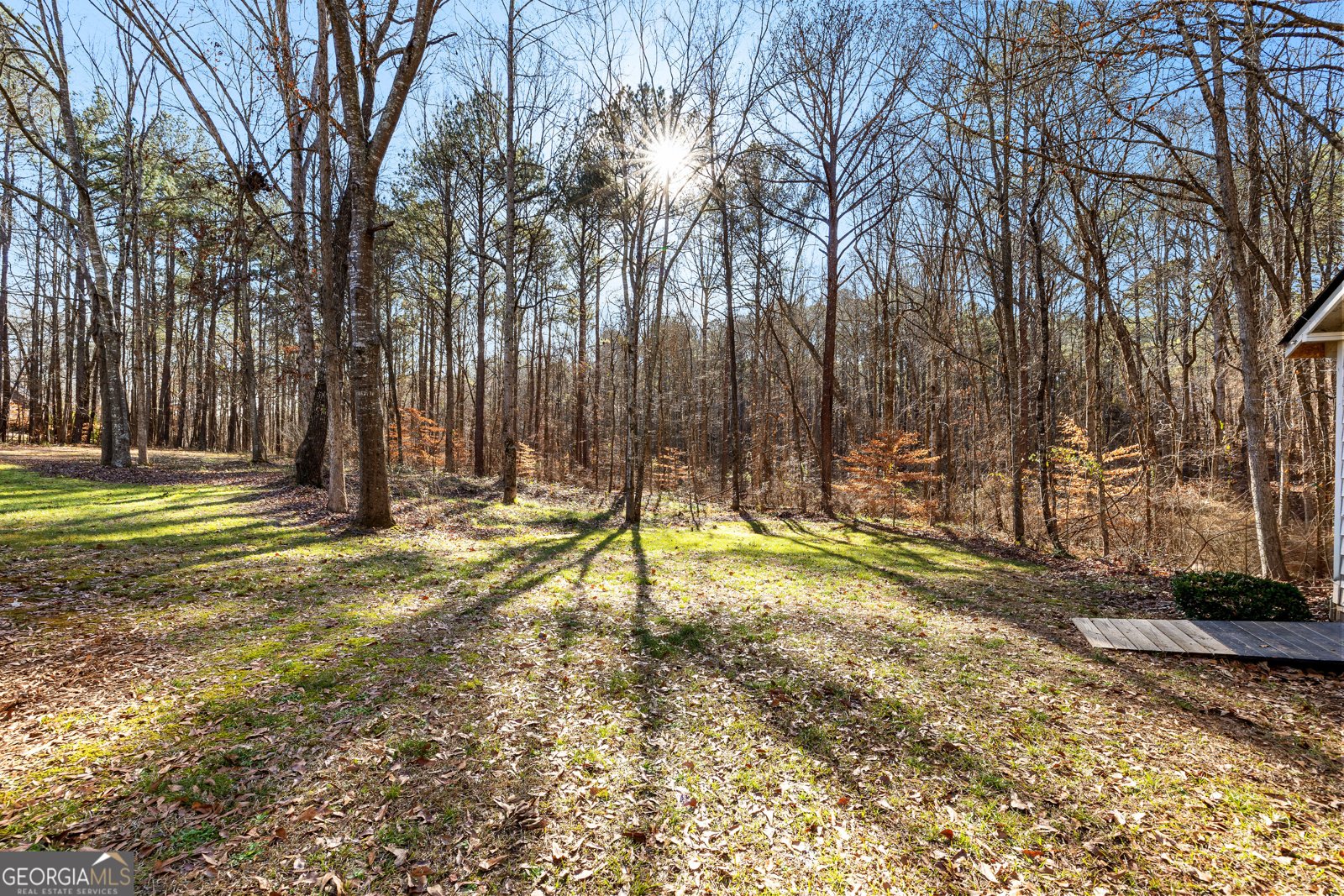 111 Cook Lane Newnan - Photo 33