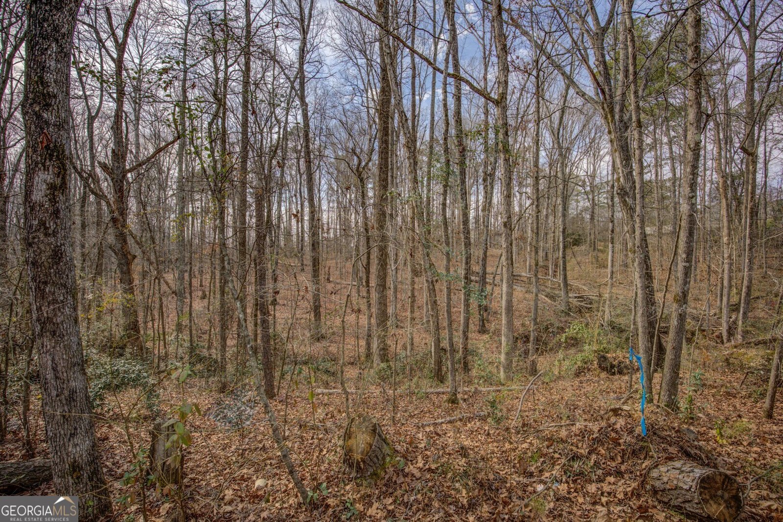 2816 Klondike Road Conyers - Photo 51