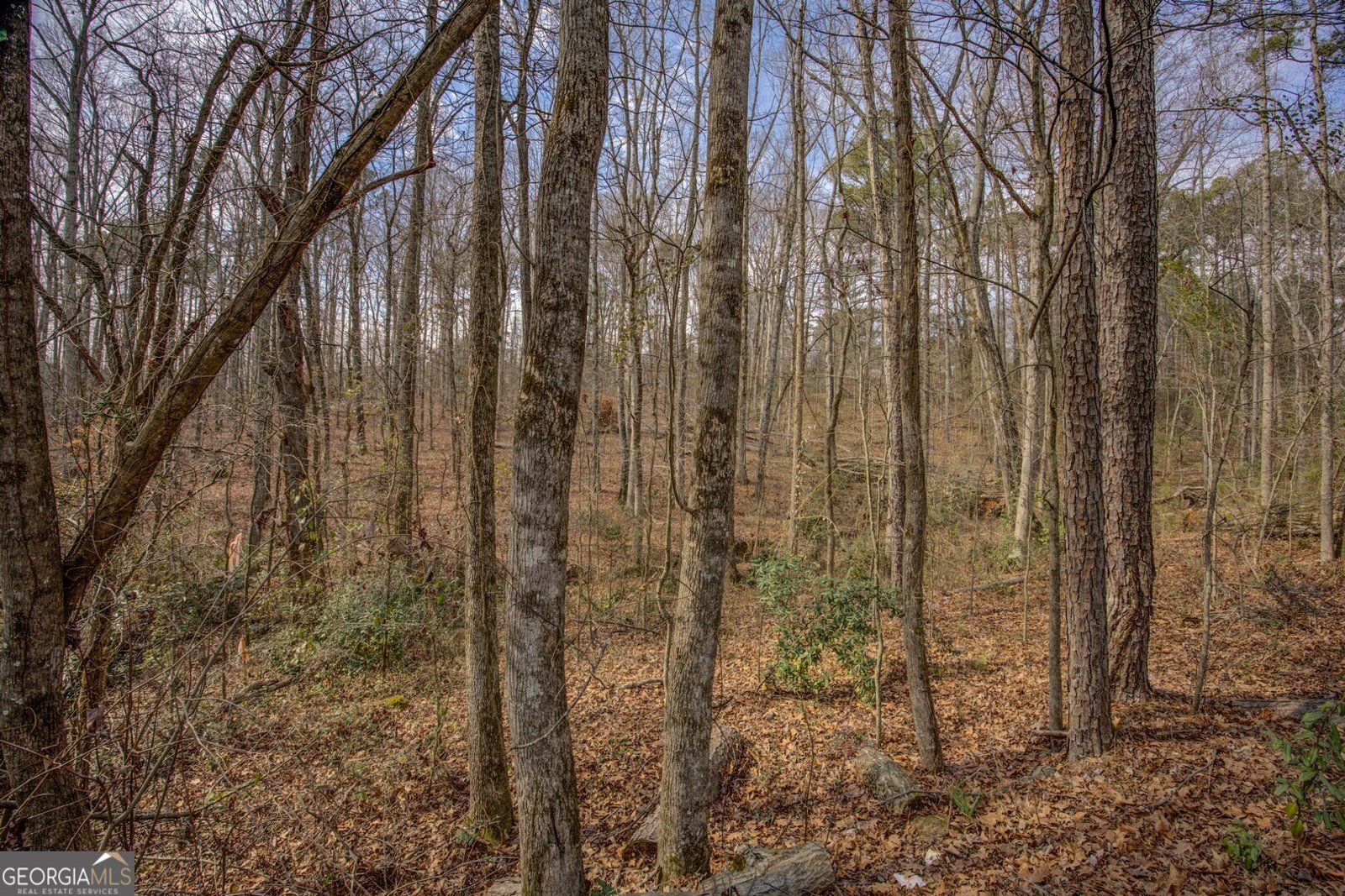 2816 Klondike Road Conyers - Photo 52