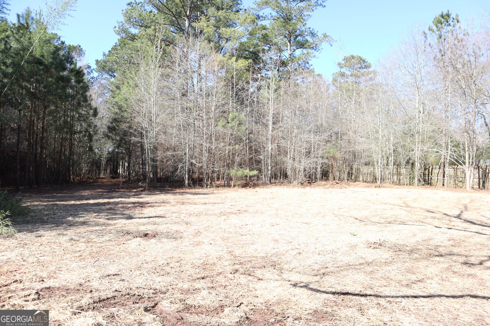 109 Edison Drive Stockbridge - Photo 25