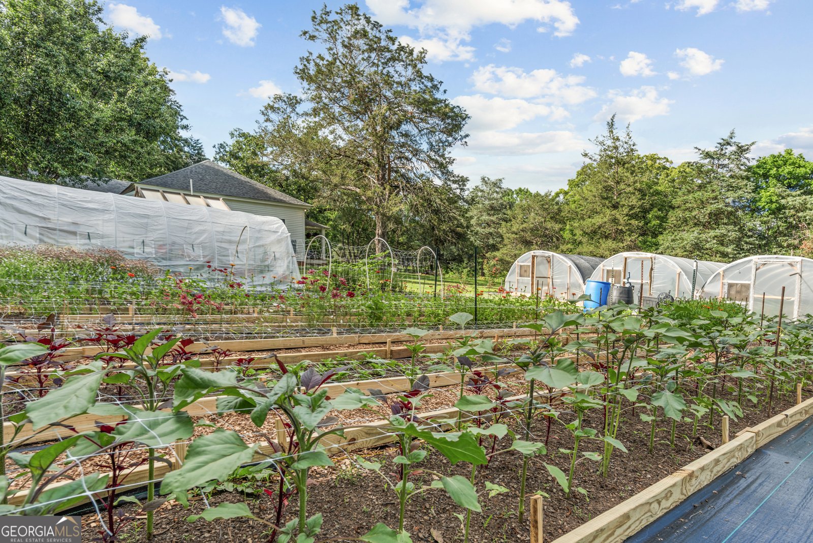 1580 Farmington Road Madison - Photo 36