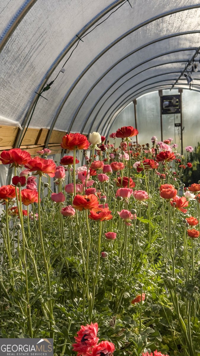 1580 Farmington Road Madison - Photo 39