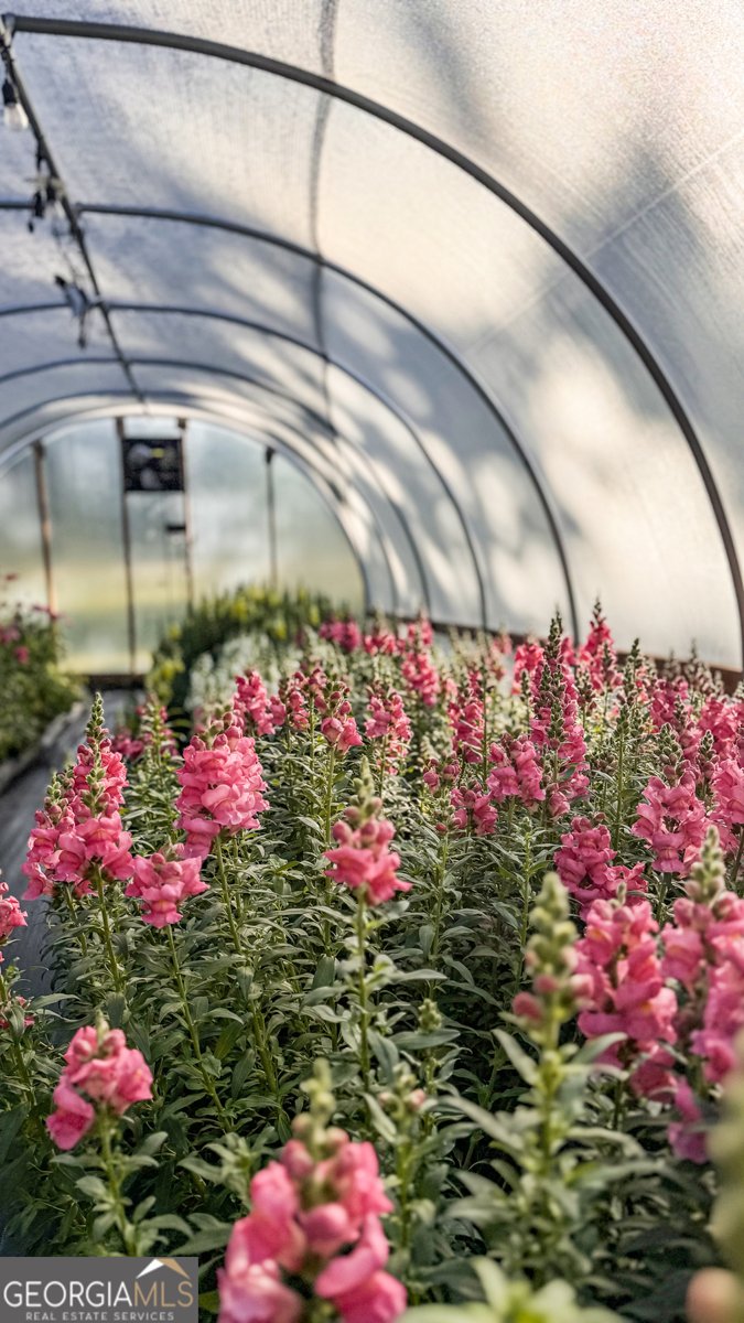 1580 Farmington Road Madison - Photo 41